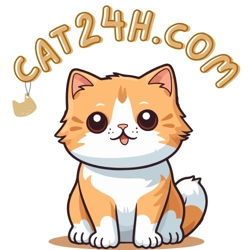 cat24h.com